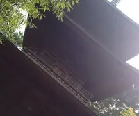 豪徳寺の写真・動画_image_20138