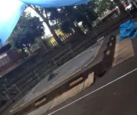 世田谷八幡宮の写真・動画_image_20148