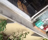 世田谷八幡宮の写真・動画_image_20152