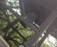 豪徳寺の写真・動画_image_20179