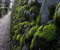 ちょっと裏筋への写真・動画_image_27949