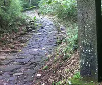 畑宿一里塚（箱根旧街道）の写真・動画_image_31531