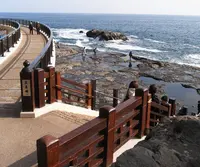 江の島岩屋の写真・動画_image_37983