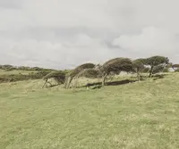 Seven Sistersの写真・動画_image_55032