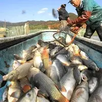 広沢池の写真・動画_image_66632