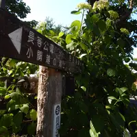 長等神社の写真・動画_image_79476
