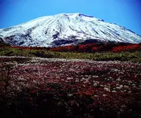 旭岳の写真・動画_image_124523