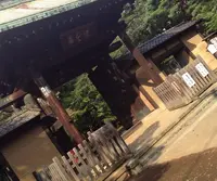 豪徳寺の写真・動画_image_126888