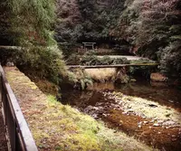 吾平山陵公園・吾平物産展示館山陵の写真・動画_image_128974