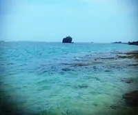 大浜海浜公園の写真・動画_image_142537