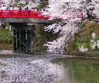 弘前城の写真・動画_image_169773