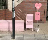 CAFE HONEY MI HONEY（ハニーミーハニー）の写真・動画_image_337826