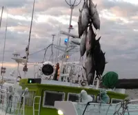 勝浦漁港の写真・動画_image_690581