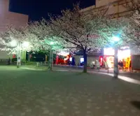 染井吉野桜記念公園の写真・動画_image_26851