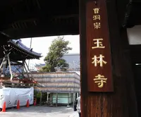玉林寺の写真・動画_image_130483