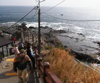 江の島岩屋の写真・動画_image_141838