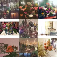 farverの写真・動画_image_107933