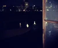 【閉業】efish（エフィッシュ）の写真・動画_image_48564