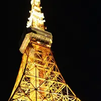 東京タワーの写真・動画_image_291179