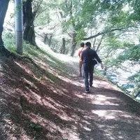 御殿山公園の写真・動画_image_29741