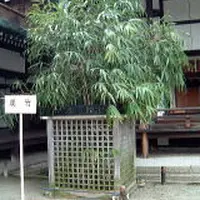 清涼殿の写真・動画_image_71522