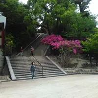 豊国神社（千畳閣）の写真・動画_image_30294