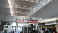 マッカラン国際空港（McCarran International Airport）の写真・動画_image_341746