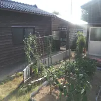 お台場の水の写真・動画_image_422412