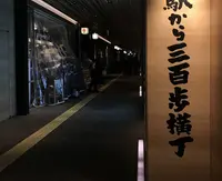 駅から300歩横丁の写真・動画_image_534201