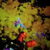 【閉業】森ビルデジタルアートミュージアム：エプソン チームラボボーダレス（MORI Building Digital Art Museum: EPSON teamLab Borderless）の写真・動画_image_416599