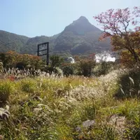 大涌谷の写真・動画_image_162262