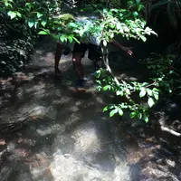 都合山たたら街道の写真・動画_image_21923