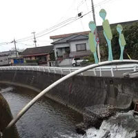 カッパ！の写真・動画_image_131979