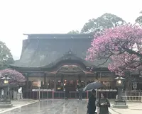 太宰府天満宮の写真・動画_image_529662