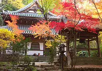 安井金比羅宮の写真・動画_image_17031