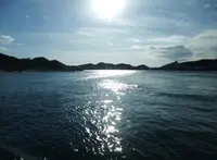 鳴門市役所 経済建設部岡崎渡船の写真・動画_image_21266