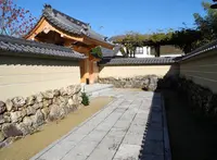 再び路地に突入しますの写真・動画_image_21731