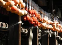 津島神社で方向転換しますの写真・動画_image_21745