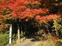 怪しげな地蔵尊があるらしいの写真・動画_image_21762
