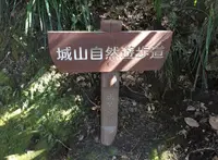 城山展望台の写真・動画_image_22921