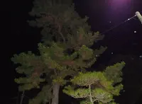 西千葉駅 総武本線の写真・動画_image_25598