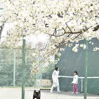 晴海ふ頭公園の写真・動画_image_26424