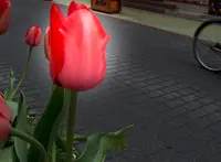やき屋おたふくの写真・動画_image_27210