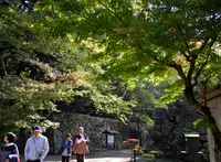 彦根城の写真・動画_image_27541