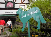 萌木の村の写真・動画_image_29985