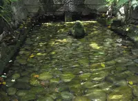 熱田神宮の写真・動画_image_31974