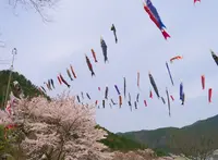 グリーンエコー笠形の写真・動画_image_43932