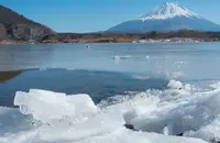 精進湖の写真・動画_image_465988