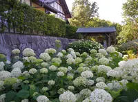 国営木曽三川公園・木曽三川公園センターの写真・動画_image_47853