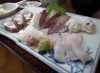 しま一・お食事処の写真・動画_image_53818